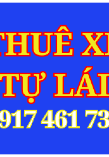 Cho thuê xe ô tô tự lái đức hòa các loại